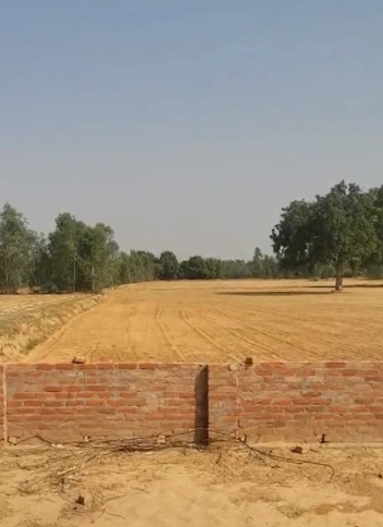 MQ77+P8R, NH 31, Dakshin Chak Maulani, Moulani, West Bengal 735302, India