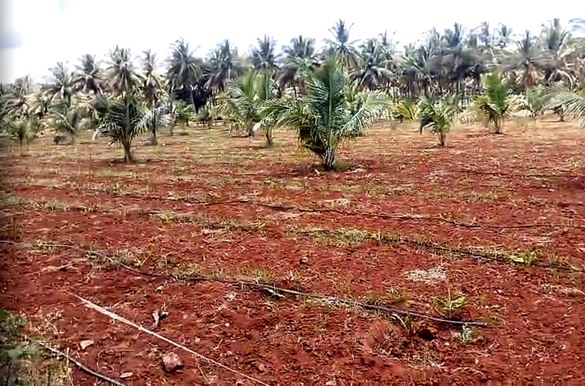 XMFW+Q2 Nitre, Karnataka, India