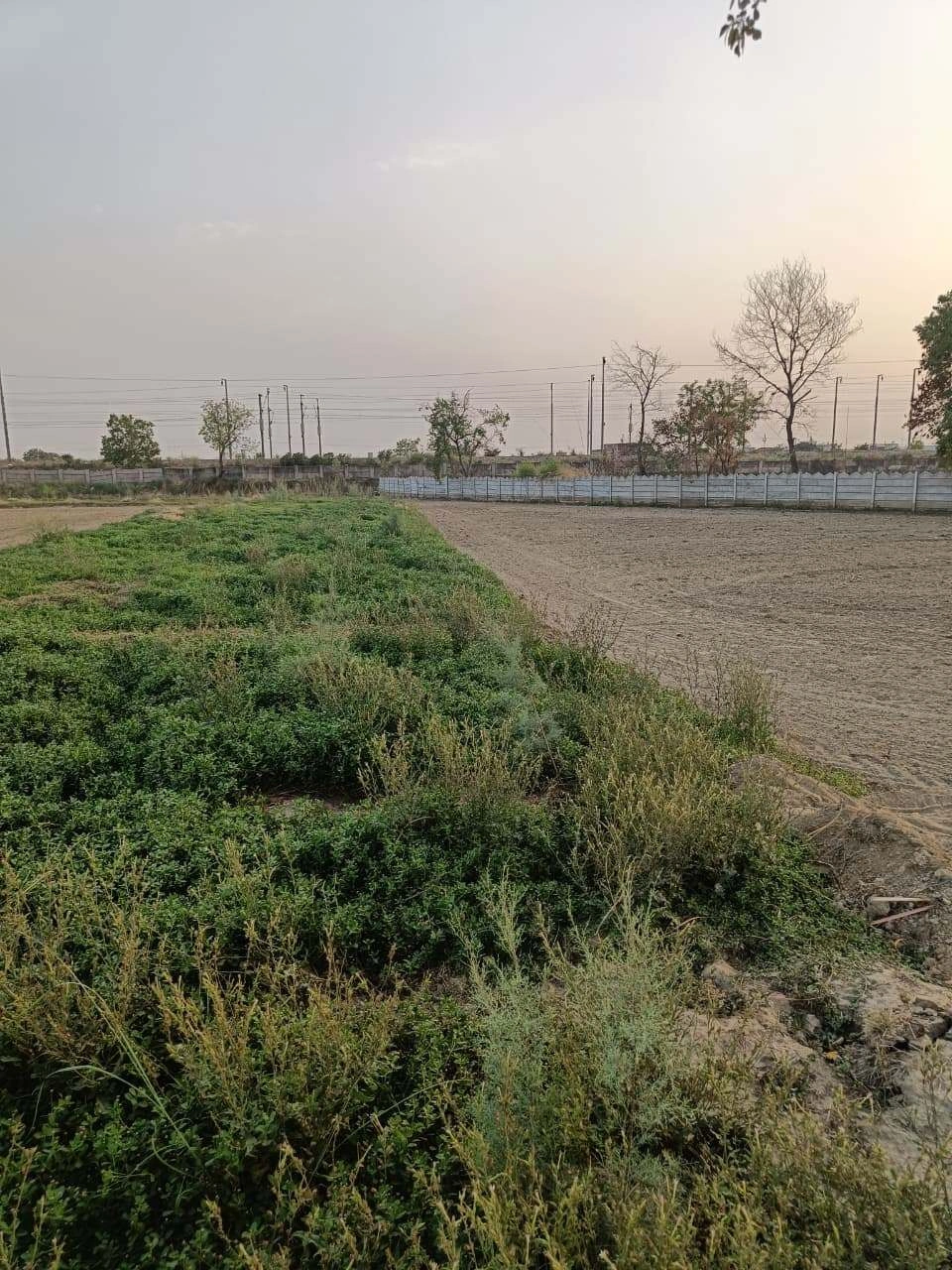 Tentigaon, Uttar Pradesh, India