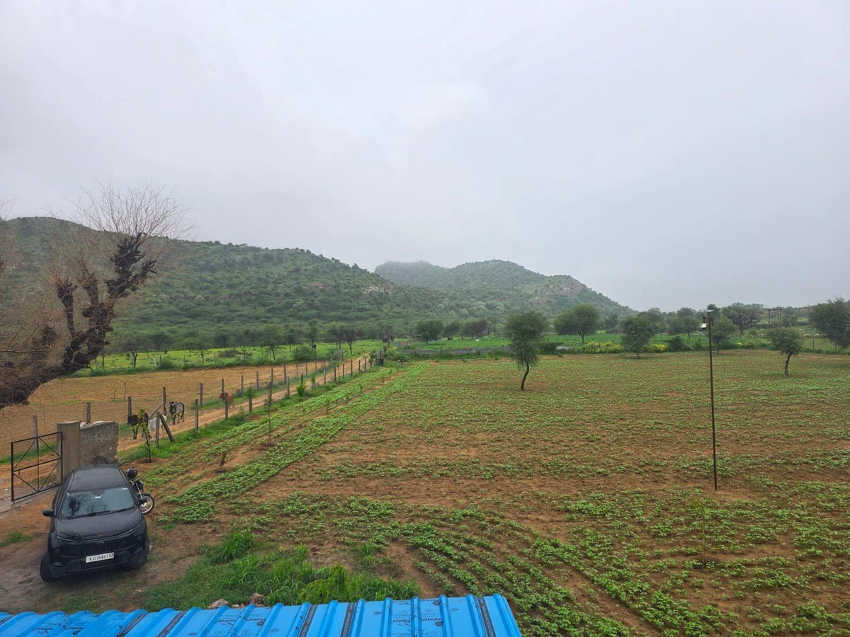 R952+6JG, Bichoon, Rajasthan 303604, India