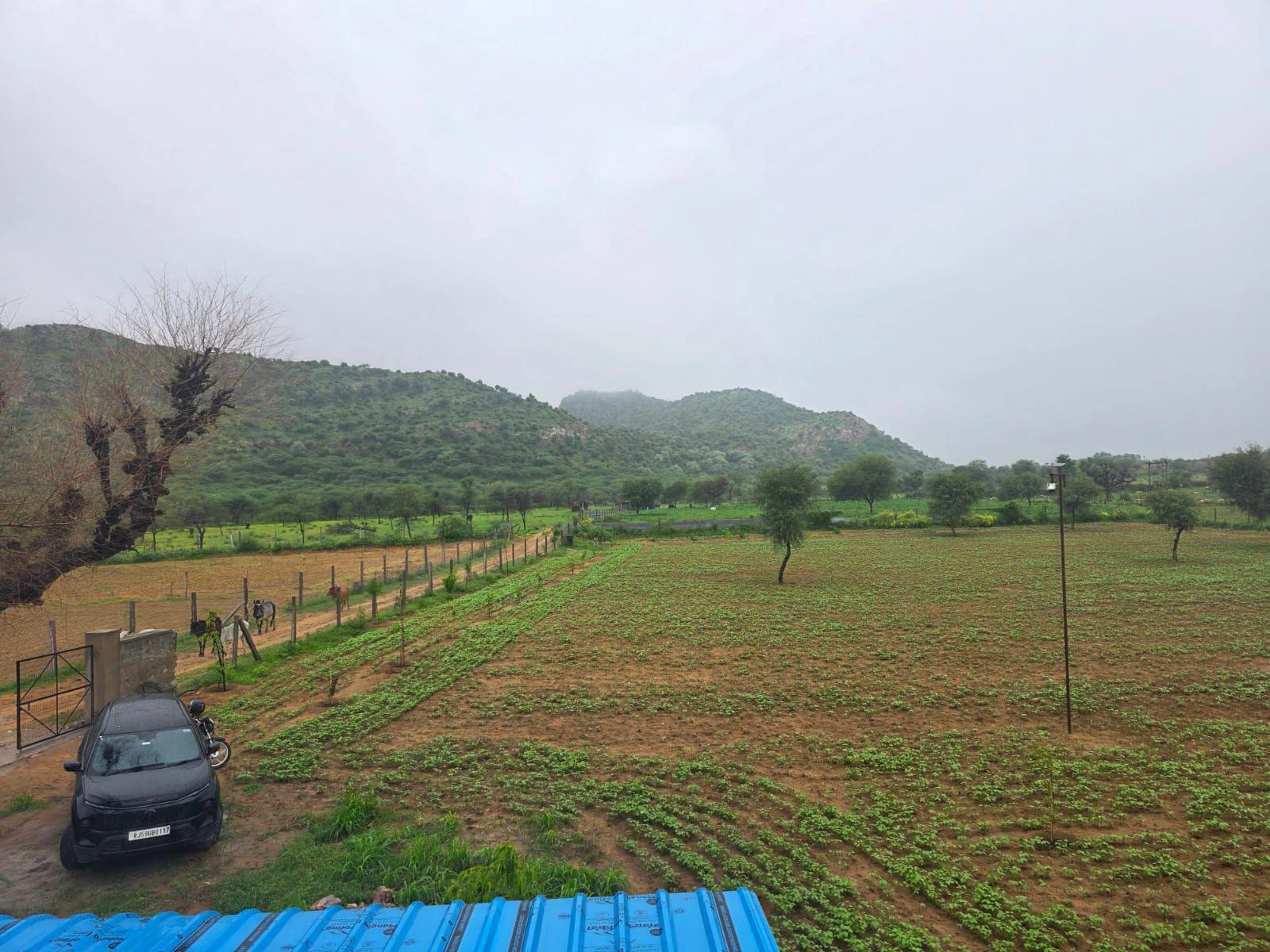 R952+6JG, Bichoon, Rajasthan 303604, India