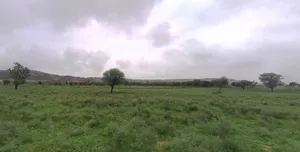 FFMX+667, Bhilwara, Danta Kalan, Rajasthan 311403, India preview 3