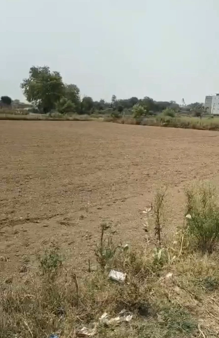Dadri, Gautam Buddha Nagar, Uttar Pradesh, India
