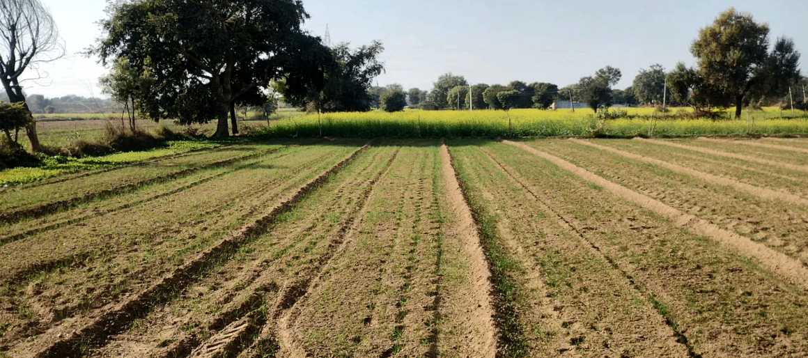 Kiratpura, Uttar Pradesh 210421, India