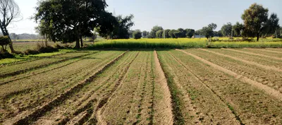 Kiratpura, Uttar Pradesh 210421, India preview 2