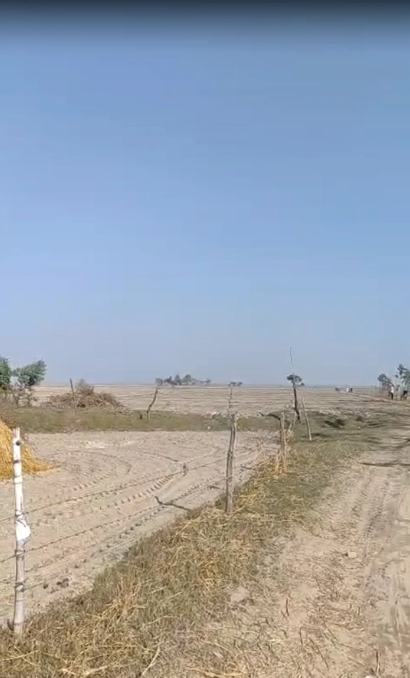 Biswan, Uttar Pradesh 261201, India