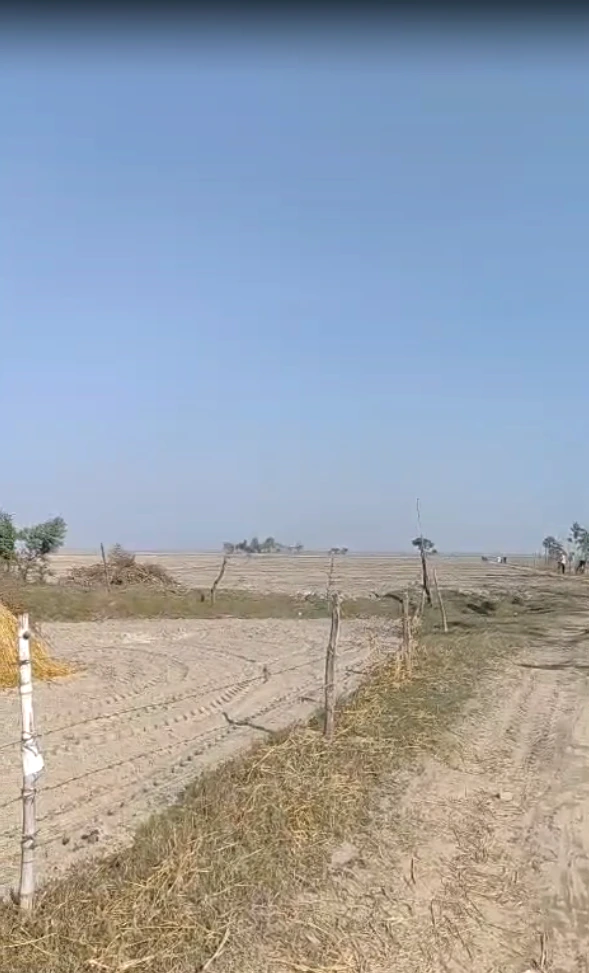 Biswan, Uttar Pradesh 261201, India