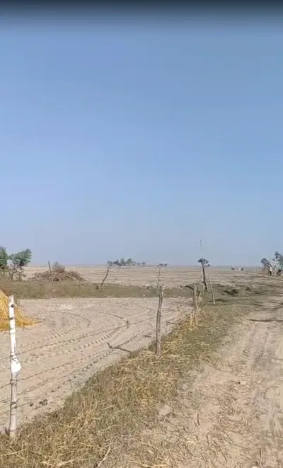 Biswan, Uttar Pradesh 261201, India preview 4
