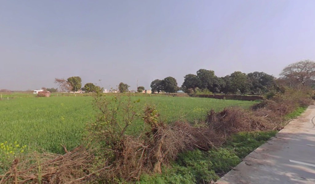 Bhadani, Haryana 124104, India