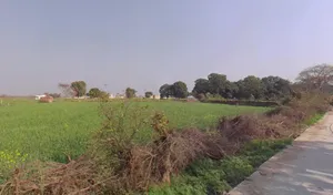 Bhadani, Haryana 124104, India preview 2