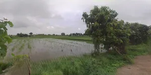 Jhajjar, Haryana 124103, India preview 3