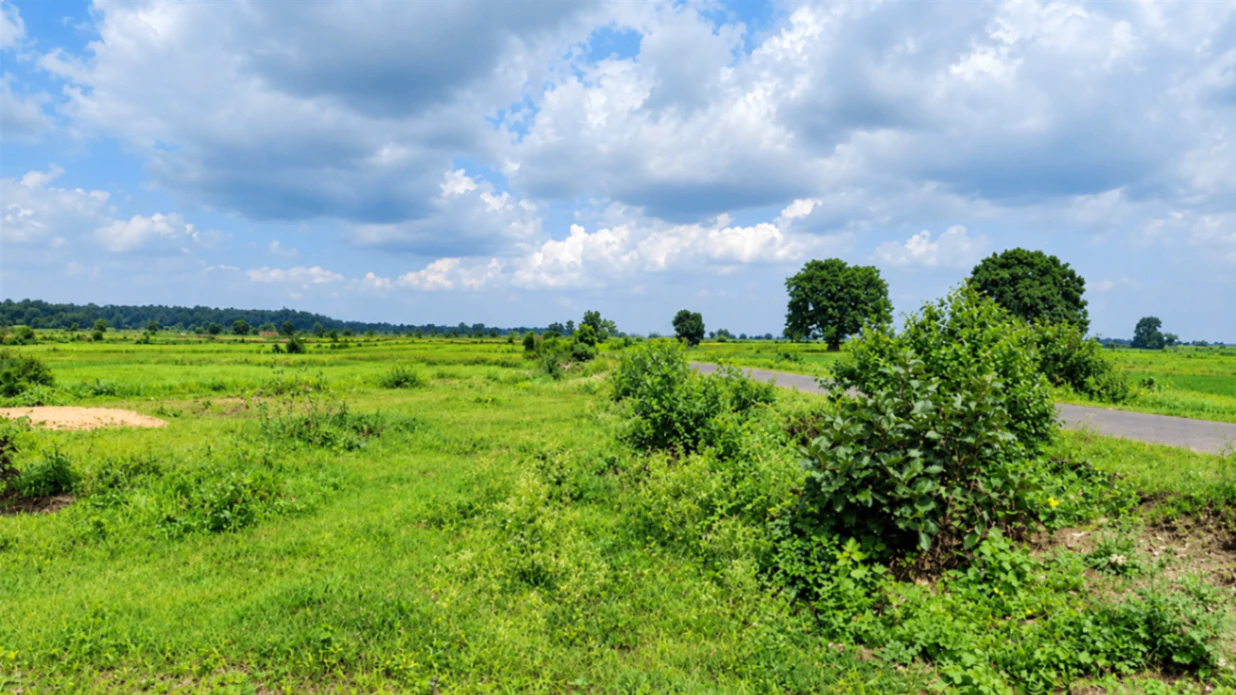 Kolabira, Jharsuguda, Odisha 768213, India