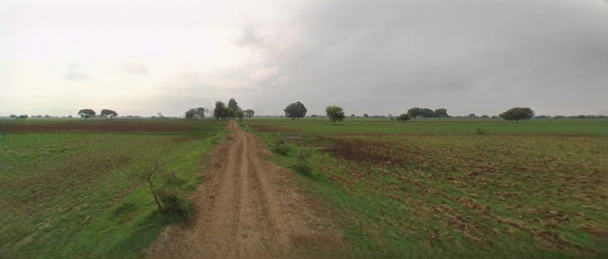 Sampla, Haryana 124501, India
