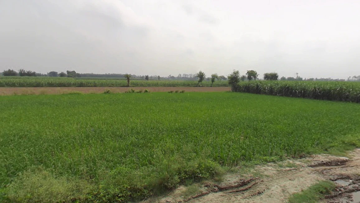Bilsanda, Uttar Pradesh 262202, India