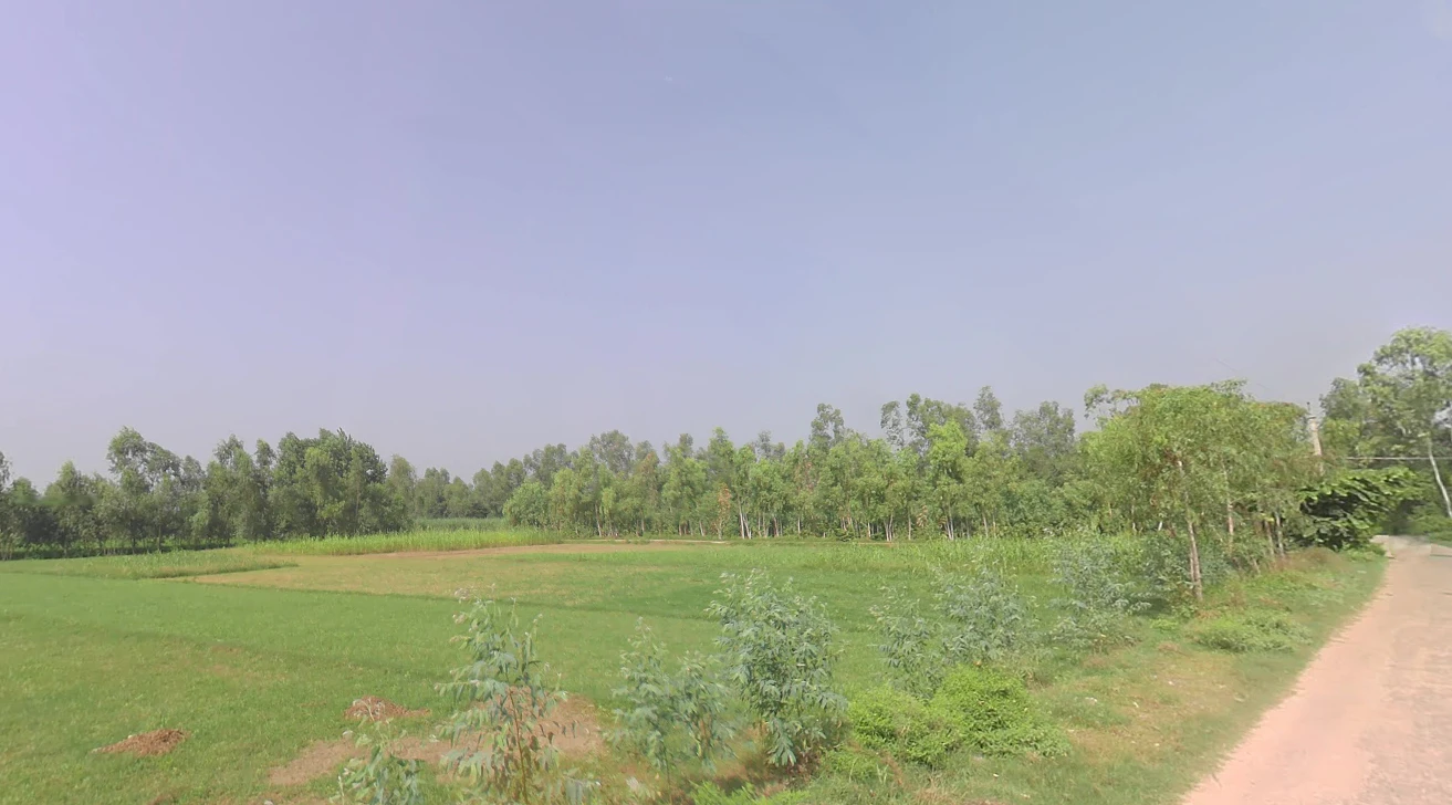Bharana, Uttar Pradesh 203205, India