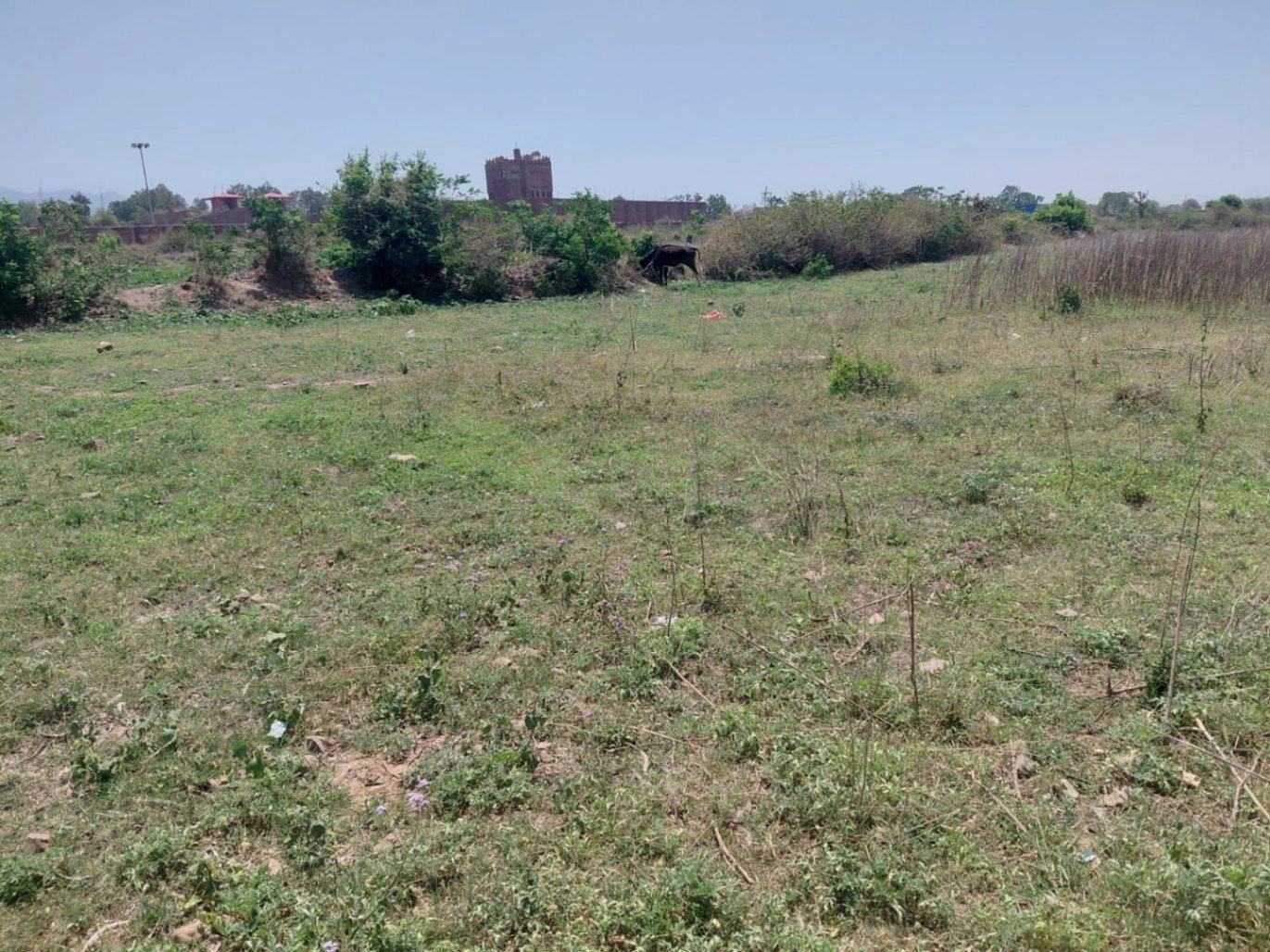 Bargodam, Kalka, Haryana 133302, India