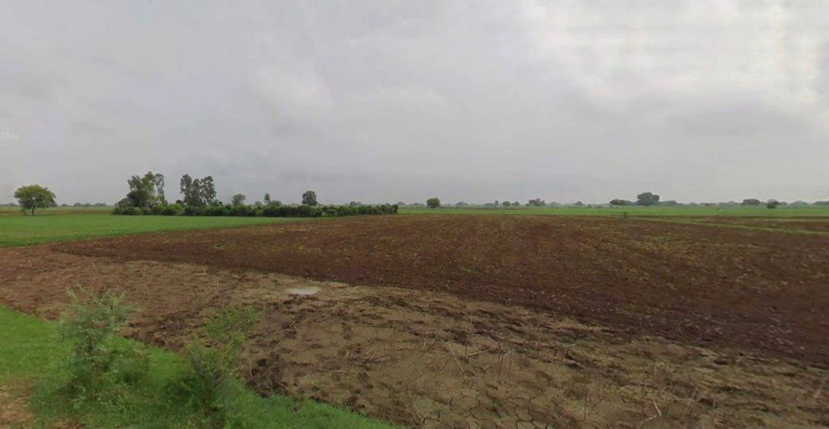 Laksar, Uttarakhand 247663, India