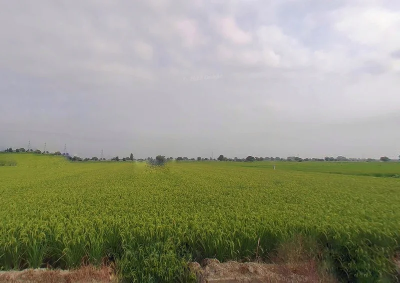 Karmatand, Jharkhand 826004, India preview 3