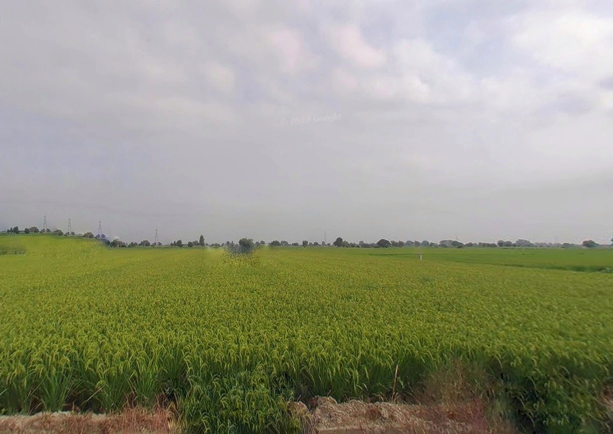 Karmatand, Jharkhand 826004, India