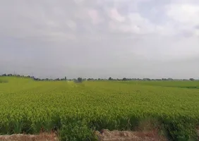 Karmatand, Jharkhand 826004, India preview 3