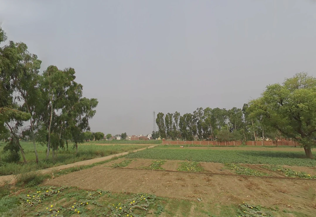 Kashipur, Uttarakhand 244713, India