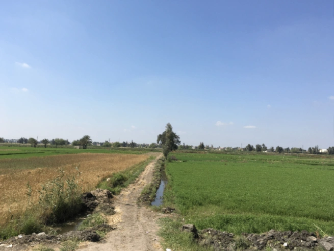 Shahpura, Rajasthan 303103, India