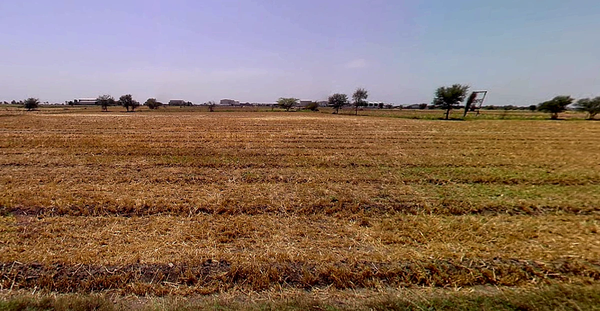 Shankheshwar, Gujarat 384246, India