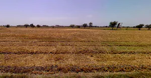 Shankheshwar, Gujarat 384246, India preview 3