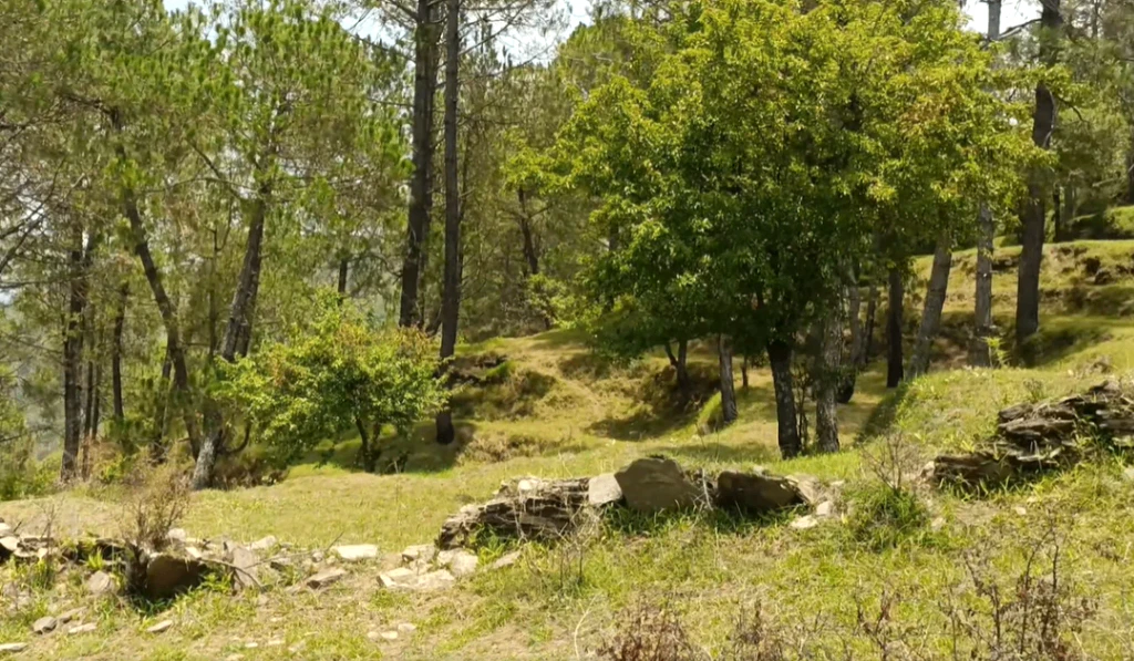 Dhulkot Mafi, Uttarakhand, India