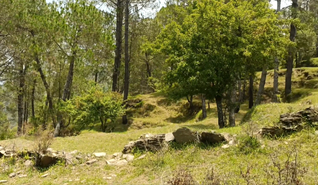 Dhulkot Mafi, Uttarakhand, India
