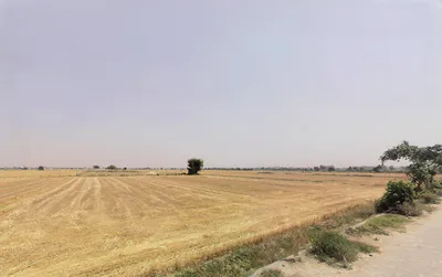 Sector 87, Neharpar Faridabad, Faridabad, Haryana 121014, India preview 2