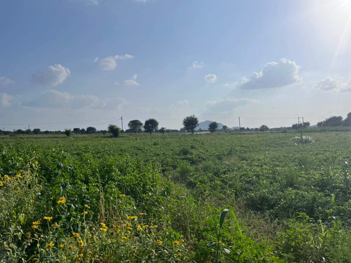 WH3F+G74, Khedaro Ki Dhani, Rajasthan 333022, India