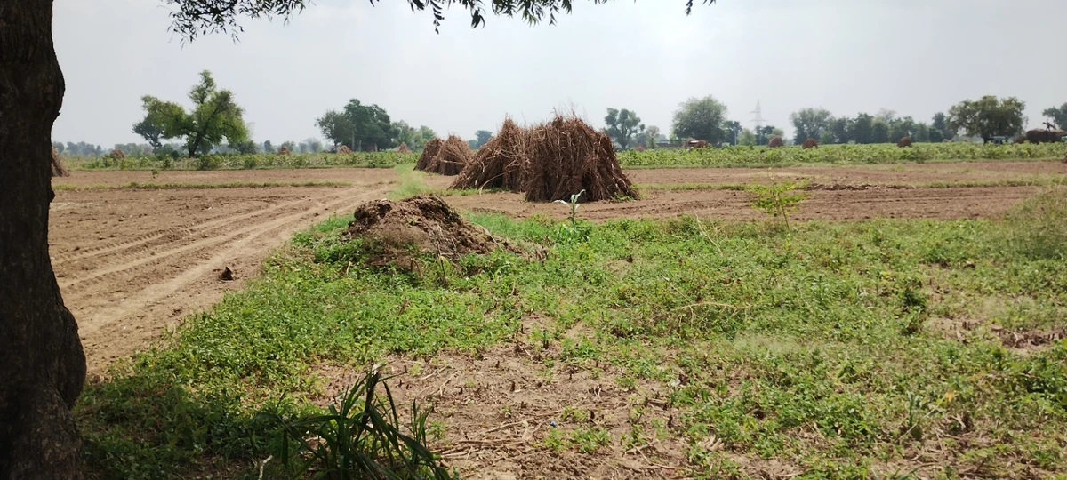 Semli, Rajasthan, India
