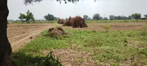 Semli, Rajasthan, India preview 3