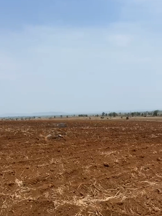 Sayeedpur, Madhya Pradesh 464884, India