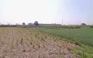 Mawana, Uttar Pradesh, India preview 3