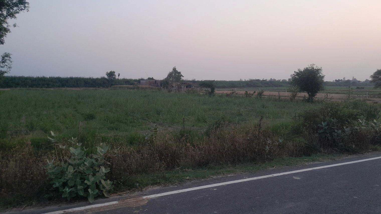 Q33Q+XG Kot Saray, Uttar Pradesh, India preview 3