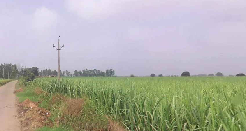 Bhaguwala, Uttar Pradesh 246749, India