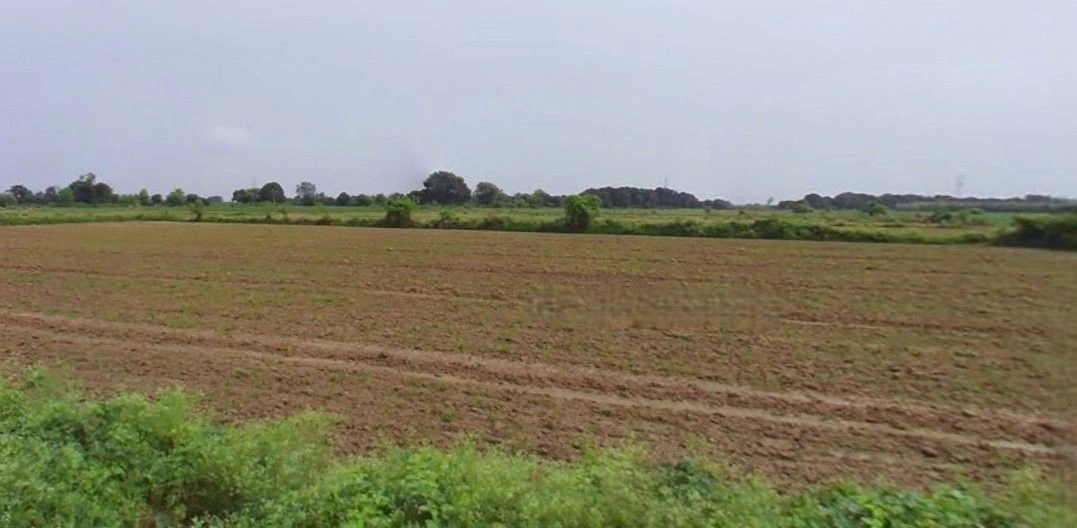 Bareilly, Uttar Pradesh, India