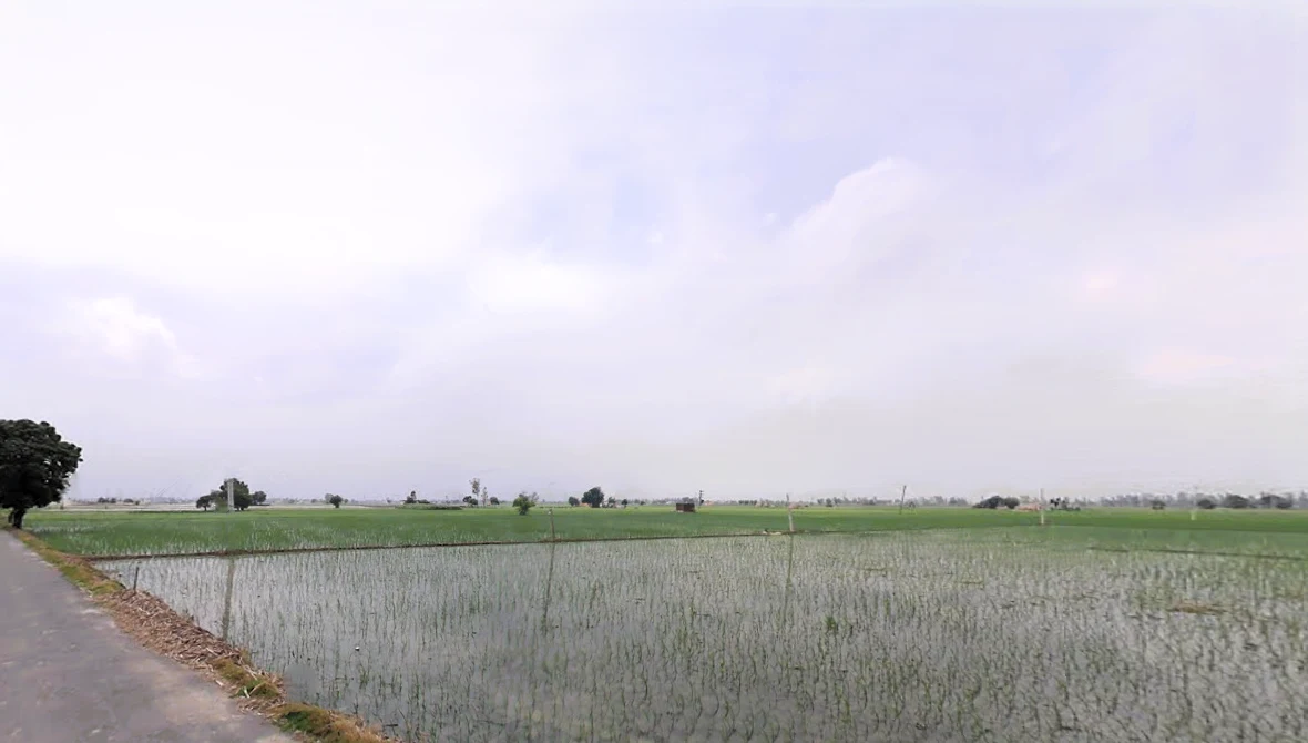 Dhurala, Haryana 136119, India preview 2