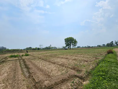 Bhuna, Haryana 125111, India preview 2