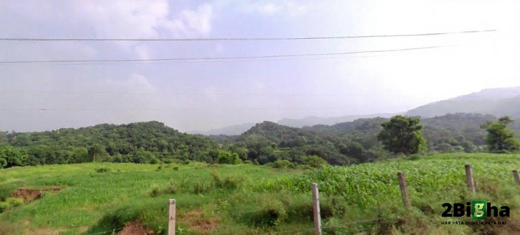 Morni, Haryana 134205, India