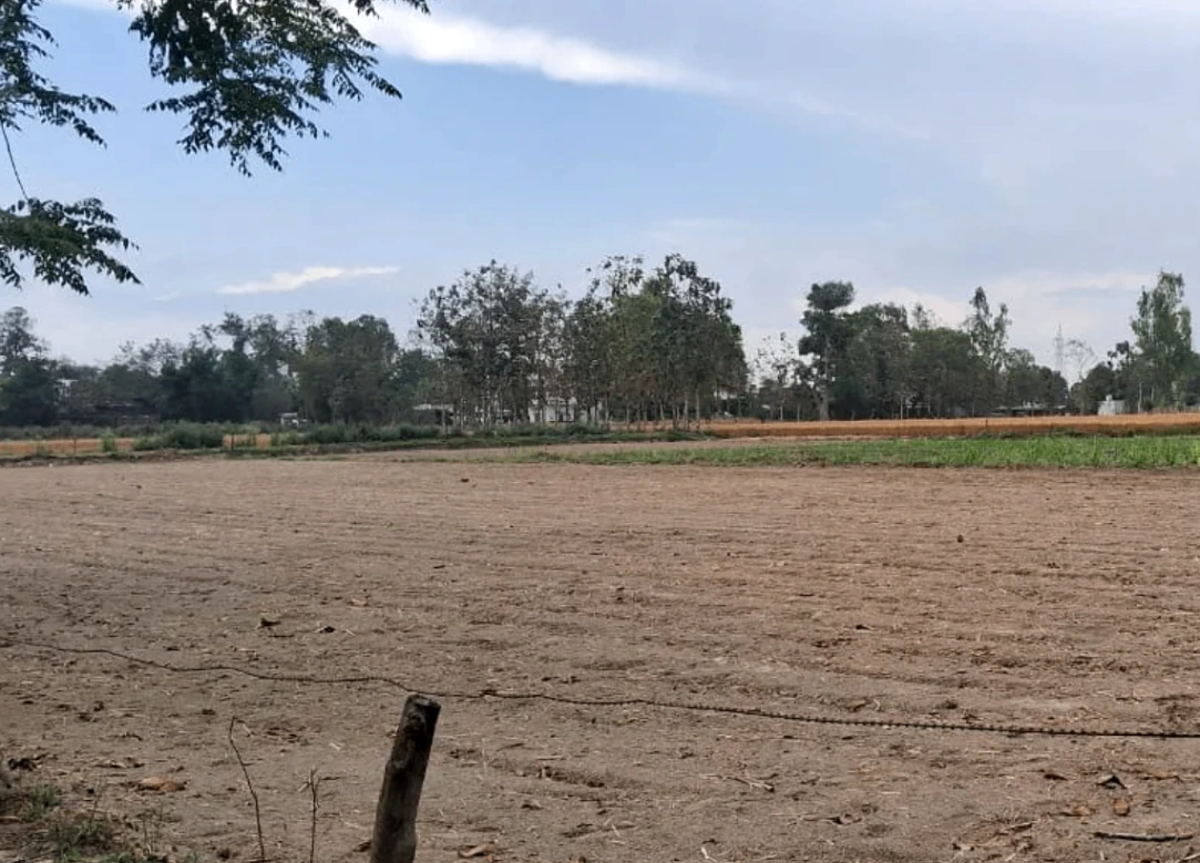 Tarana, Madhya Pradesh 456665, India