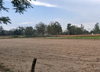 Tarana, Madhya Pradesh 456665, India preview 2
