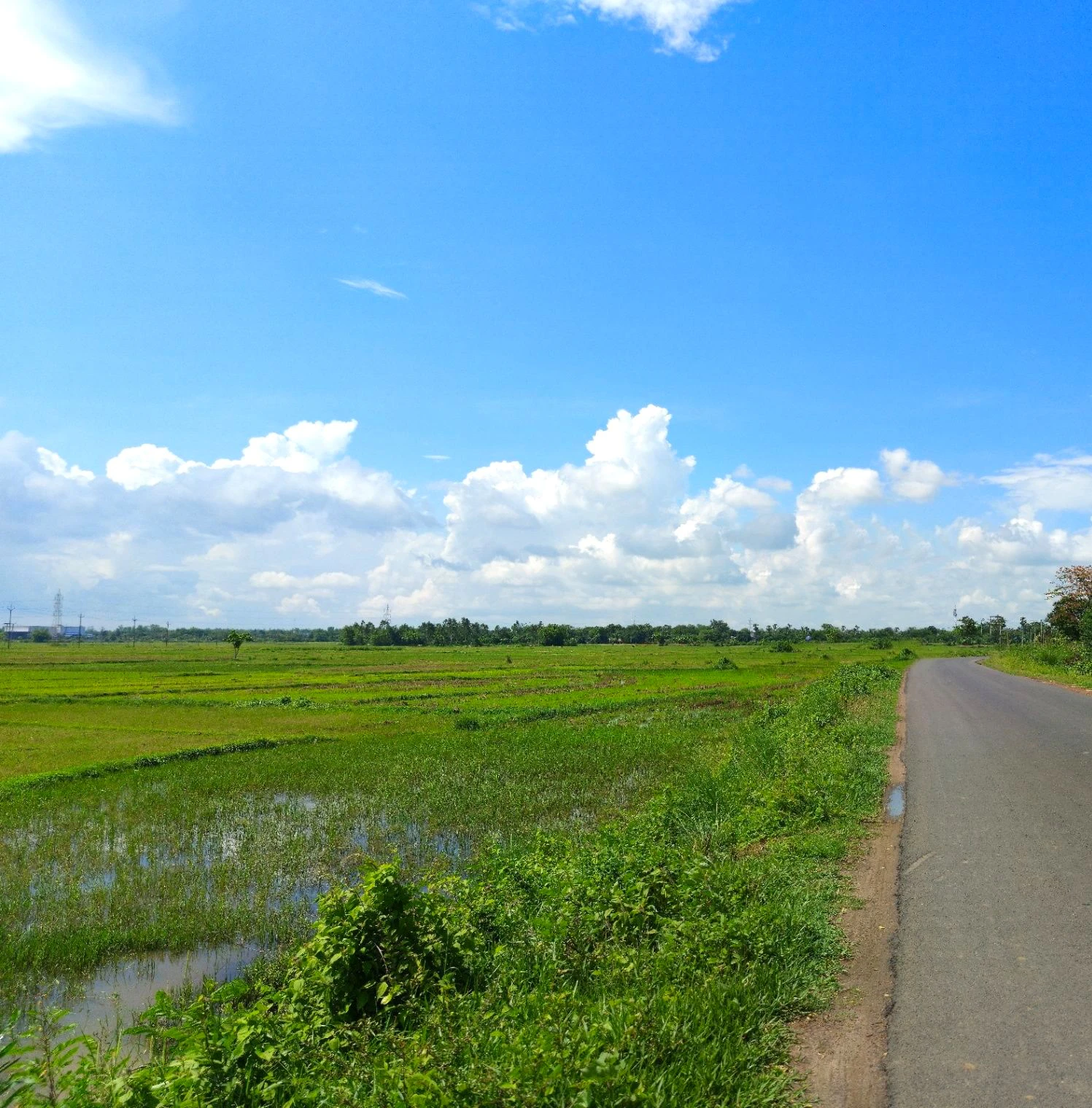 Lakhimpur, Uttar Pradesh 262701, India