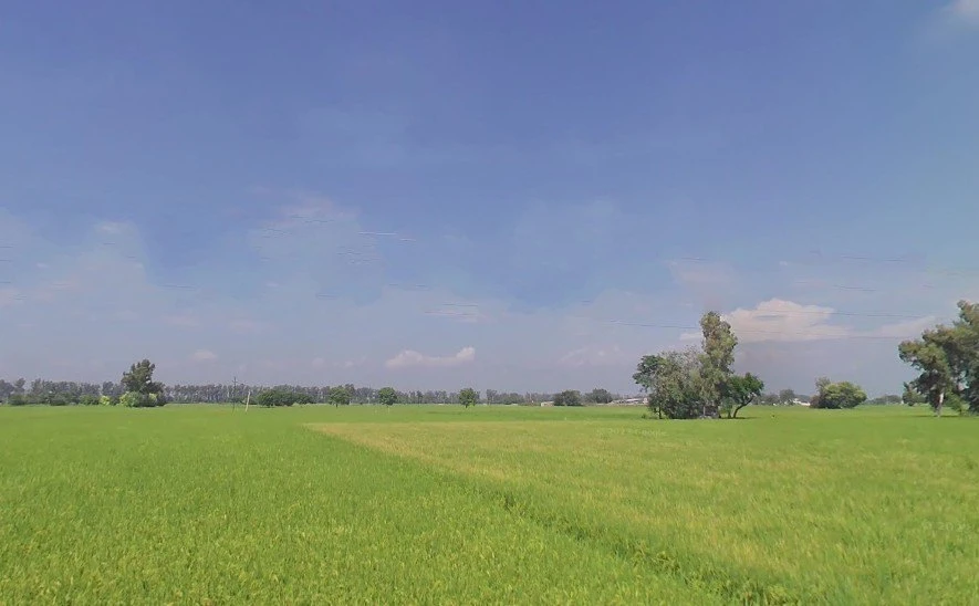 Bhinder Khurd, Punjab 142041, India