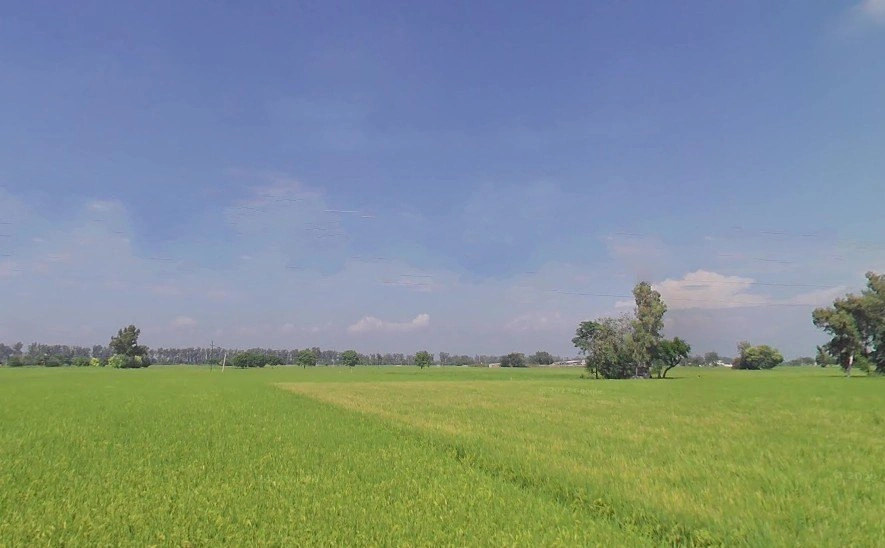Bhinder Khurd, Punjab 142041, India