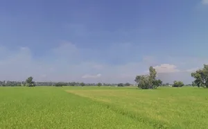 Bhinder Khurd, Punjab 142041, India preview 2