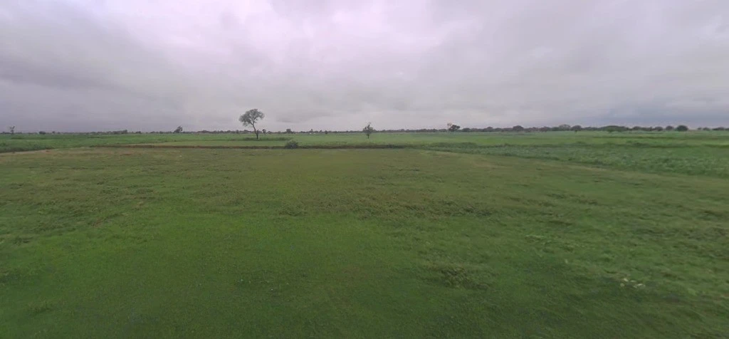 Goneda, Rajasthan 303108, India