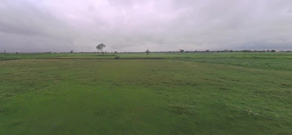 Goneda, Rajasthan 303108, India